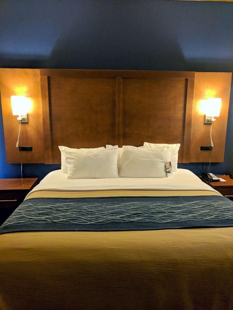 Comfort Inn & Suites Statesboro - University Area Esterno foto